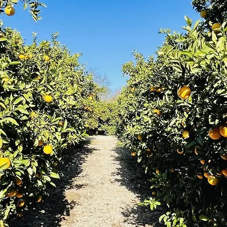Quinta Da Carla Villa *